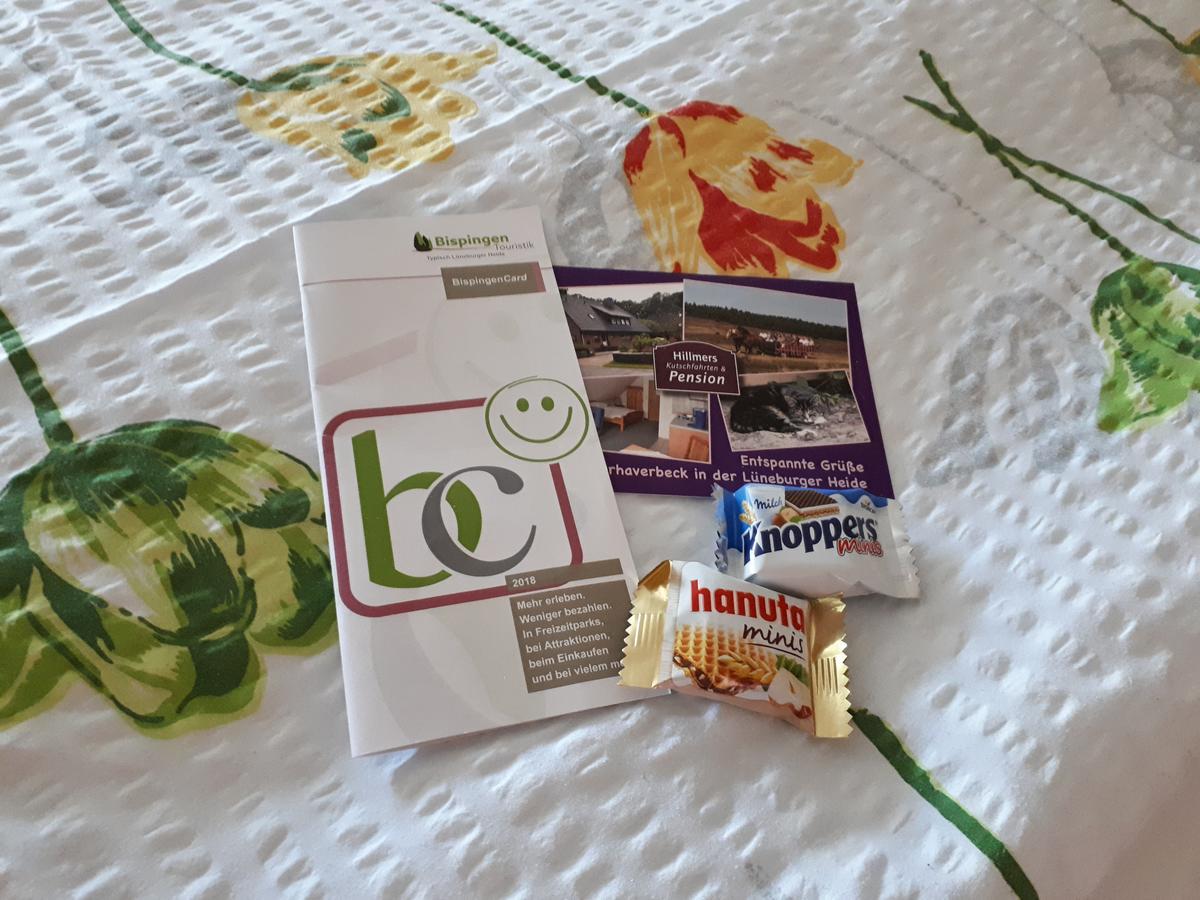 ביספינגן Apartment Hillmer מראה חיצוני תמונה